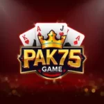 PAK75 Game
